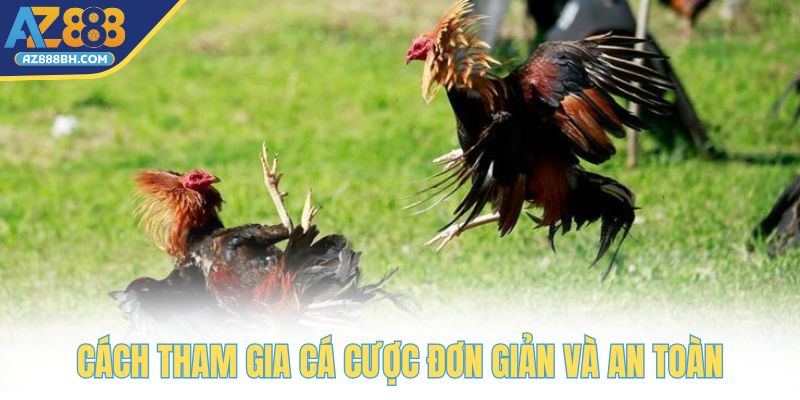 Cách tham gia cá cược cực kỳ đơn giản và an toàn
