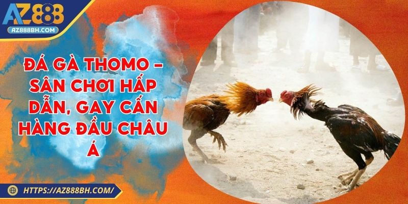 Đá Gà Thomo - Sân Chơi Hấp Dẫn, Gay Cấn Hàng Đầu Châu Á