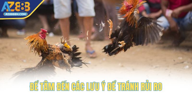 Đặc biệt để tâm đến các lưu ý quan trọng để tránh rủi ro