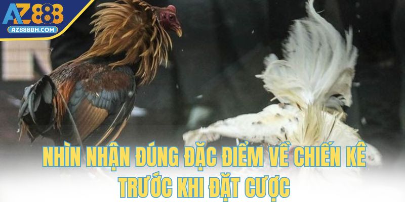 Nhìn nhận đúng đặc điểm về chiến kê trước khi đặt cược