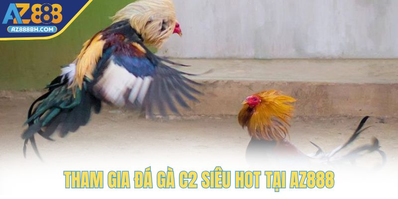Tham gia ngay đá gà C2 siêu hot tại AZ888
