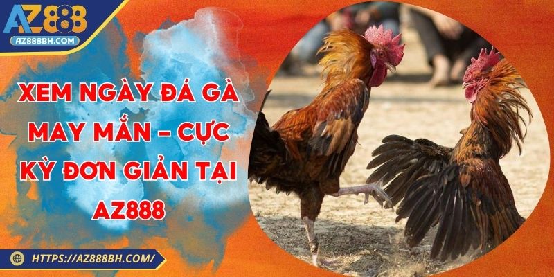Xem Ngày Đá Gà May Mắn - Cực Kỳ Đơn Giản Tại AZ888
